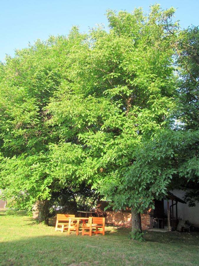 Bed and Breakfast Pod Orehi Постойна Экстерьер фото